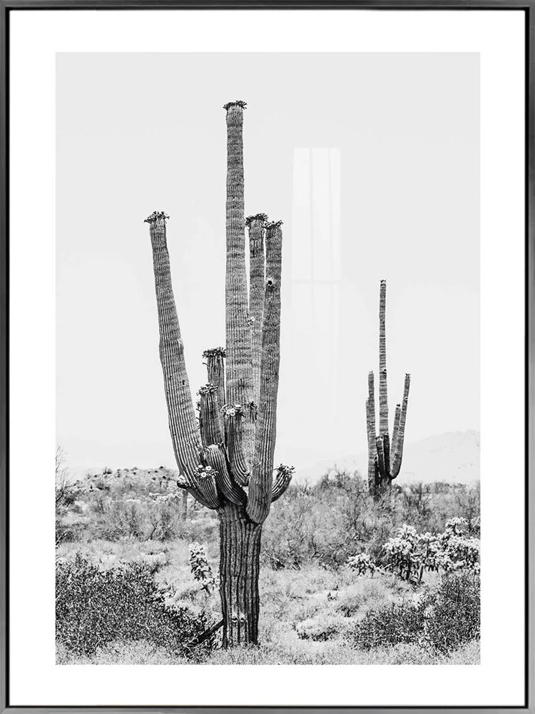 Kansas Print - Image 2